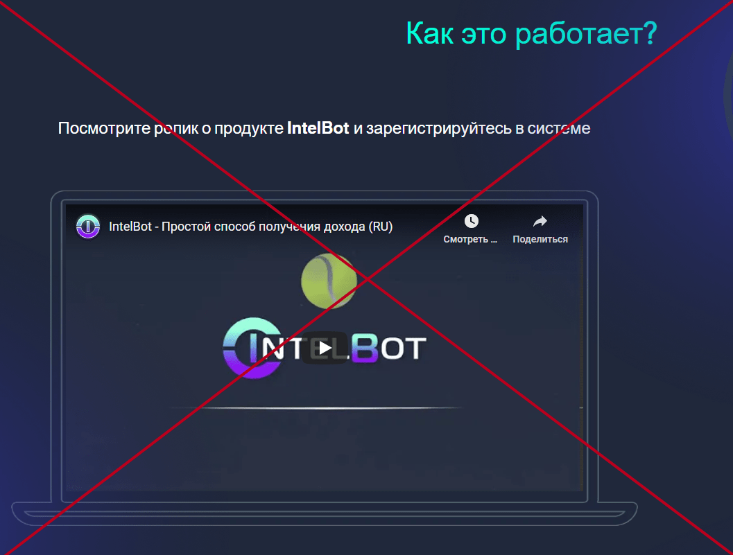 IntelBot обзор